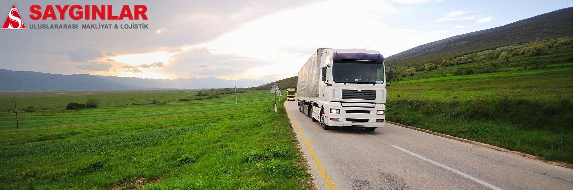 ukrayna frigo nakliye