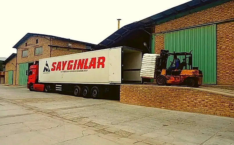 almanya karayolu nakliye