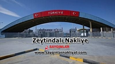 Zeytindalı Nakliye